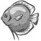 Underwater Marine Fish Cartoon Illustration in a Vector In Greyscale Black and White