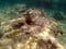 Underwater mystery photography, deep sea