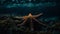 Underwater, nature beauty starfish, fish, reef, sea life, aquatic generated by AI