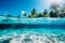 Underwater and overwater view of vibrant summer day at the beach with sea life and clear sky
