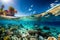 Underwater and overwater views sea life, beach and sky on a sunny day