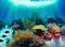 underwater panorama of a tropical reef in the caribbean. Generative AI