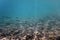 Underwater pebbles clear sea with swimming fishes