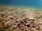 Underwater Pebbles rivers and lakes freshwater water surface.