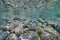 Underwater pebbles and rocks below water surface