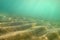 Underwater photo, small sand `dunes ` shot diagonally so in this perspective they form stairs, sun rays coming from sea surface. A