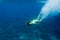 underwater photo of young woman in swimming suit diving in ocean alone