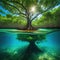 Underwater photograph of a mangrove forest with flooded Based on