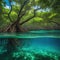 Underwater photograph of a mangrove forest with flooded Based on