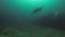 Underwater Photographer. Camera Man Taking Underwater Photo.Scuba Diver & Camera