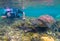 Underwater photographer and sea turtle. Tourist activity snorkeling with turtles. Marine tortoise underwater photo