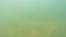 Underwater photography. Sea sandy bottom. Sea water