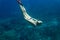 underwater pic of young woman