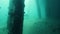 Underwater pier pilings and pylons with growing corals fishes and a diver swimming near.