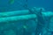 Underwater pipes in the indian ocean