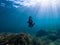 Underwater plastic pollution. Black plastic bag in the Mediterranean sea over Posidonia oceanica