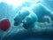 Underwater Polar Bear