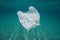 Underwater pollution plastic bag in the sea