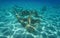 Underwater remains wrecked ship Mediterranean sea