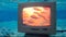 Underwater Retro CRT TV Nostalgia Absurdist Abstract Vintage Technology