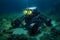 Underwater robots with spotlight eyes on the bottom of the ocean depths on sand and underwater plants.