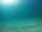 Underwater sand floor in the ocean