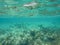 Underwater in Sandy Toes, Bahamas