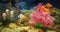 Underwater scene, coral reef, colorful fish and jelly in ocean