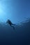 Underwater scene : surfacing scuba diver