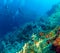 Underwater scene with three scuba divers