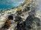 UNDERWATER sea level photo of the Aponissos beach, Agistri island, Saronic Gulf, Attica, Greece