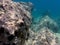 UNDERWATER sea level photo of the Aponissos beach, Agistri island, Saronic Gulf, Attica, Greece