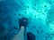 UNDERWATER sea level photo. Snorkeling. Female legs in fins on the background of small fishes swimming off the coast of Agistri