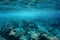 Underwater sea surface clear water rocky seabed