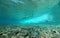 Underwater sea wave breaking on reef with sharks