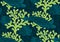 Underwater sealife seamless pattern with seaweed plants, fishes, turtles, corals drawing