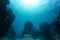 Underwater seascape rocky reef ocean floor