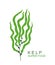 Underwater seaweed kelp logo. Isolated underwater seaweed kelp on white background