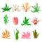 Underwater seaweed vector set on white background. Sea plants and aquatic marine algae. Collection of types aquarium