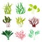 Underwater Seaweeds or Algae Growing on the Ocean Bottom Vector Set