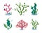Underwater seaweeds, aqua kelp, ocean and aquarium plants vector set