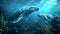 Underwater Serenity: Majestic Whales Glide Through the Blue Depths. Calming Ocean Scene Captured in High-Resolution