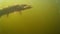 Underwater shooting, big pike trying to jump off the hook, fishing with spinning on artificial bait