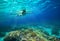 Underwater shot of a woman snorkeling in the sun