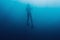 Underwater silhouette of freediver.