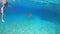 Underwater slow motion of turtle and woman swimming together