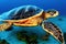 Underwater snorkeling Hawaii with animals Sea turtle.