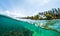 Underwater split shot of the sea weed garden