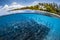 Underwater split shot of the sea weed garden