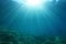 Underwater sunlight school fish Mediterranean sea